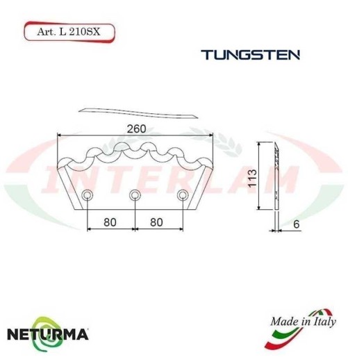 L210SX - TUNGSTENO - Lama per Carri UNIFEED - Dentata  Ø113 - PAGLIARI